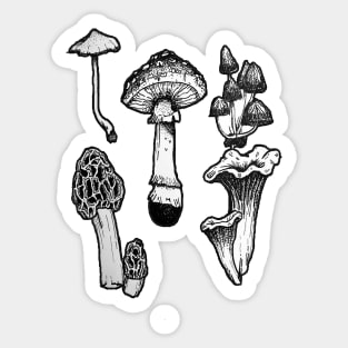 Mushroom Illustration Pack Sticker